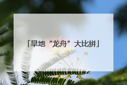 旱地“龙舟”大比拼