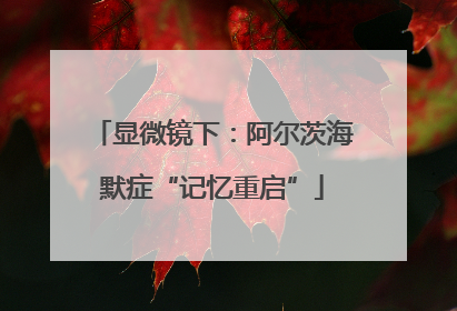 显微镜下：阿尔茨海默症“记忆重启”