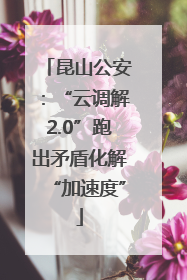 昆山公安：“云调解2.0”跑出矛盾化解“加速度”