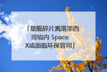 星舰碎片溅落墨西哥境内 SpaceX或面临环保官司