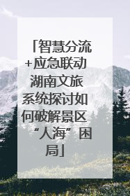 智慧分流+应急联动 湖南文旅系统探讨如何破解景区“人海”困局