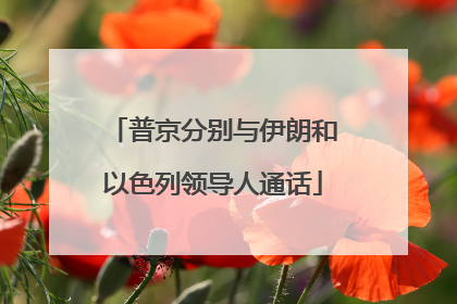 普京分别与伊朗和以色列领导人通话
