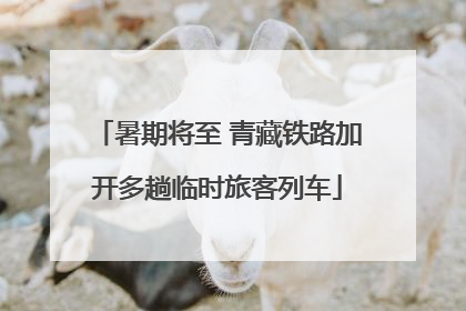 暑期将至 青藏铁路加开多趟临时旅客列车