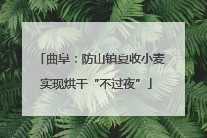 曲阜：防山镇夏收小麦实现烘干“不过夜”