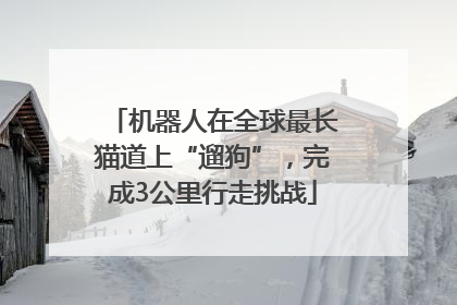 机器人在全球最长猫道上“遛狗”，完成3公里行走挑战