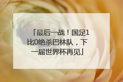 最后一战！国足1比0绝杀巴林队，下一届世界杯再见