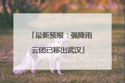 最新预报：强降雨云团已移出武汉