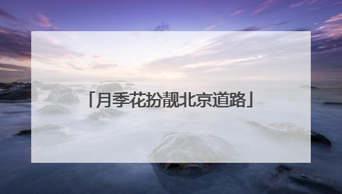 月季花扮靓北京道路