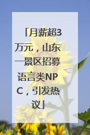 月薪超3万元，山东一景区招募语言类NPC，引发热议