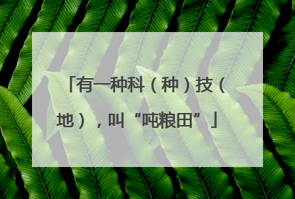 有一种科（种）技（地），叫“吨粮田”