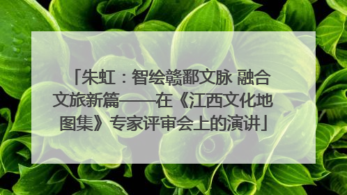朱虹：智绘赣鄱文脉 融合文旅新篇——在《江西文化地图集》专家评审会上的演讲