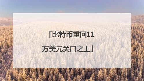 比特币重回11万美元关口之上