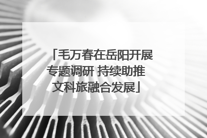 毛万春在岳阳开展专题调研 持续助推文科旅融合发展