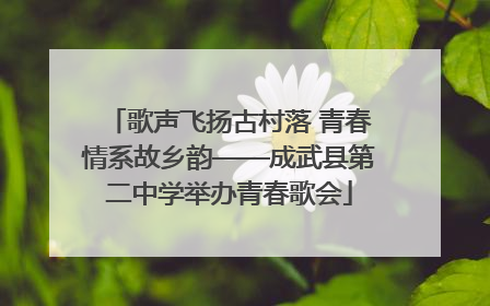 歌声飞扬古村落 青春情系故乡韵——成武县第二中学举办青春歌会