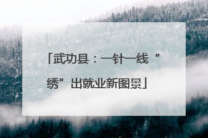 武功县：一针一线“绣”出就业新图景