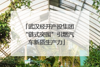 武汉经开产投集团“链式突围”引燃汽车新质生产力