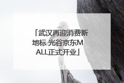 武汉再迎消费新地标 光谷京东MALL正式开业