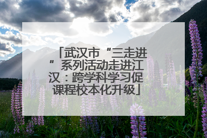 武汉市“三走进”系列活动走进江汉：跨学科学习促课程校本化升级