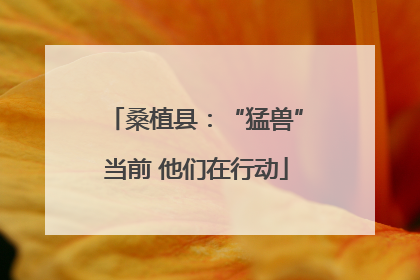 桑植县：“猛兽”当前 他们在行动