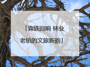 森铁回响 林业老镇的文旅新韵