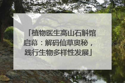植物医生高山石斛馆启幕：解码仙草奥秘，践行生物多样性发展