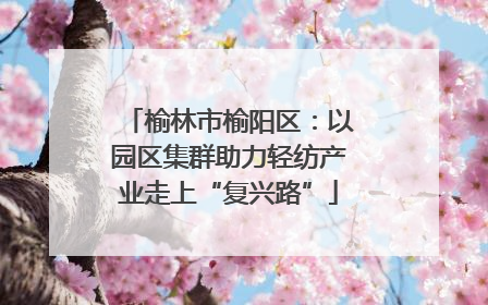 榆林市榆阳区：以园区集群助力轻纺产业走上“复兴路”