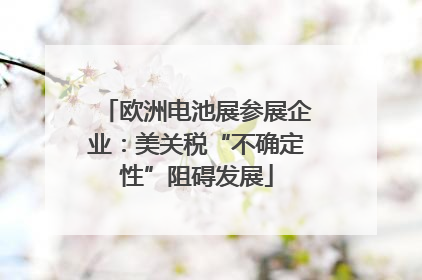 欧洲电池展参展企业：美关税“不确定性”阻碍发展