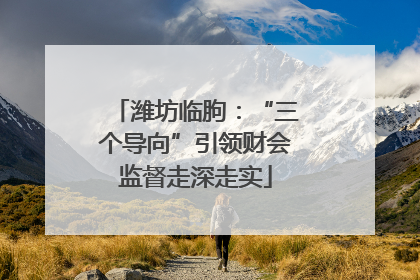 潍坊临朐：“三个导向”引领财会监督走深走实
