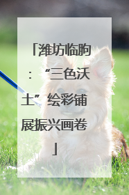 潍坊临朐：“三色沃土”绘彩铺展振兴画卷