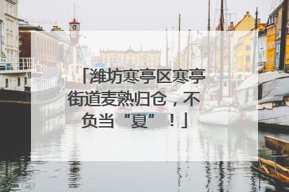 潍坊寒亭区寒亭街道麦熟归仓，不负当“夏”！