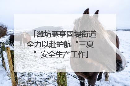 潍坊寒亭固堤街道全力以赴护航“三夏”安全生产工作