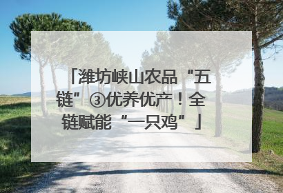 潍坊峡山农品“五链”③优养优产！全链赋能“一只鸡”