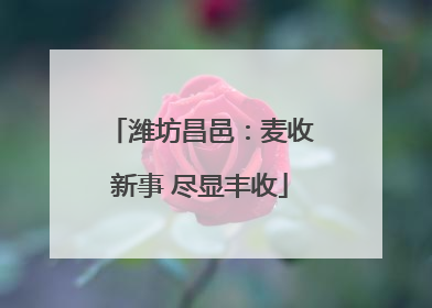 潍坊昌邑：麦收新事 尽显丰收