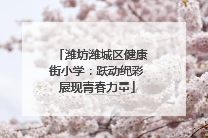 潍坊潍城区健康街小学：跃动绳彩展现青春力量