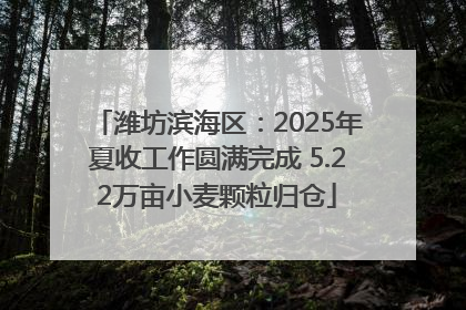 潍坊滨海区：2025年夏收工作圆满完成 5.22万亩小麦颗粒归仓