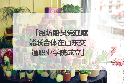 潍坊船员党建赋能联合体在山东交通职业学院成立