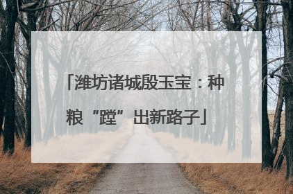 潍坊诸城殷玉宝：种粮“蹚”出新路子