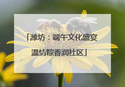 潍坊：端午文化盛宴 温情粽香润社区