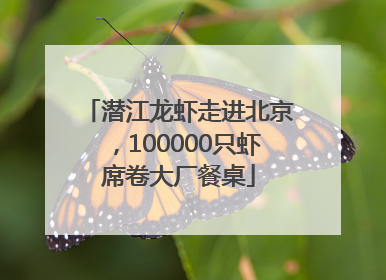 潜江龙虾走进北京，100000只虾席卷大厂餐桌