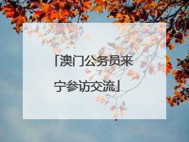 澳门公务员来宁参访交流