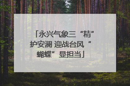 永兴气象三“精”护安澜 迎战台风“蝴蝶”显担当