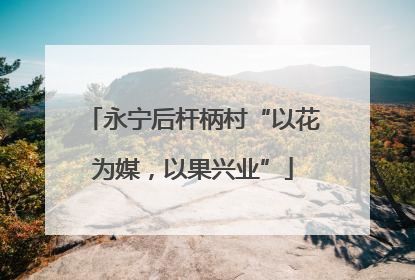 永宁后杆柄村“以花为媒，以果兴业”