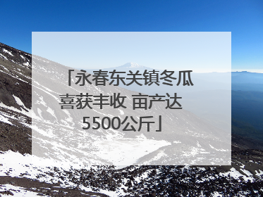 永春东关镇冬瓜喜获丰收 亩产达5500公斤
