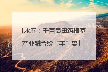 永春：千亩良田筑根基 产业融合绘“丰”景