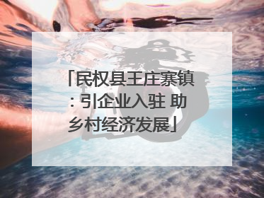 民权县王庄寨镇：引企业入驻 助乡村经济发展