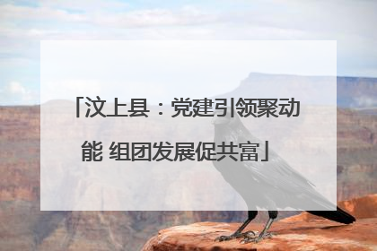 汶上县：党建引领聚动能 组团发展促共富