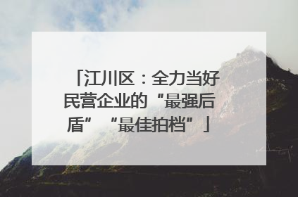 江川区：全力当好民营企业的“最强后盾”“最佳拍档”