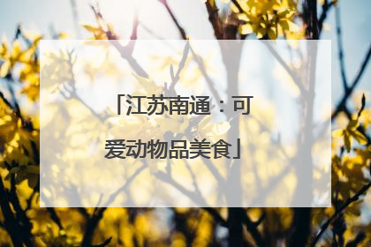 江苏南通：可爱动物品美食