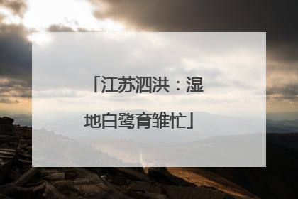 江苏泗洪：湿地白鹭育雏忙