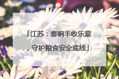 江苏：奏响丰收乐章，守护粮食安全底线